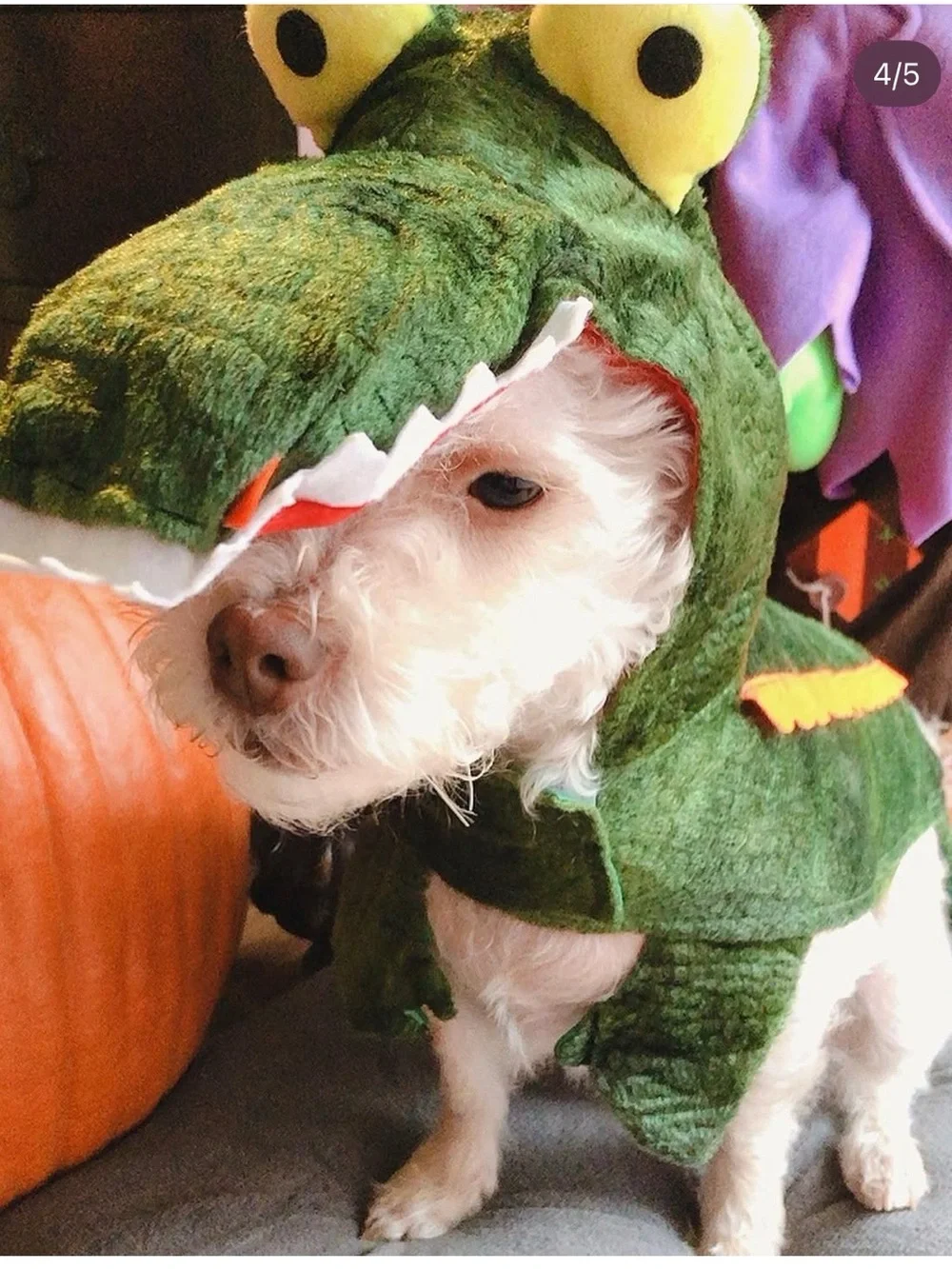 Bootique Petco Later Gator Alligator Dog Costume Size Small